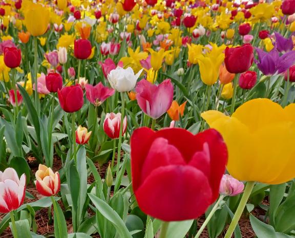 おはようございます☺️✨✨