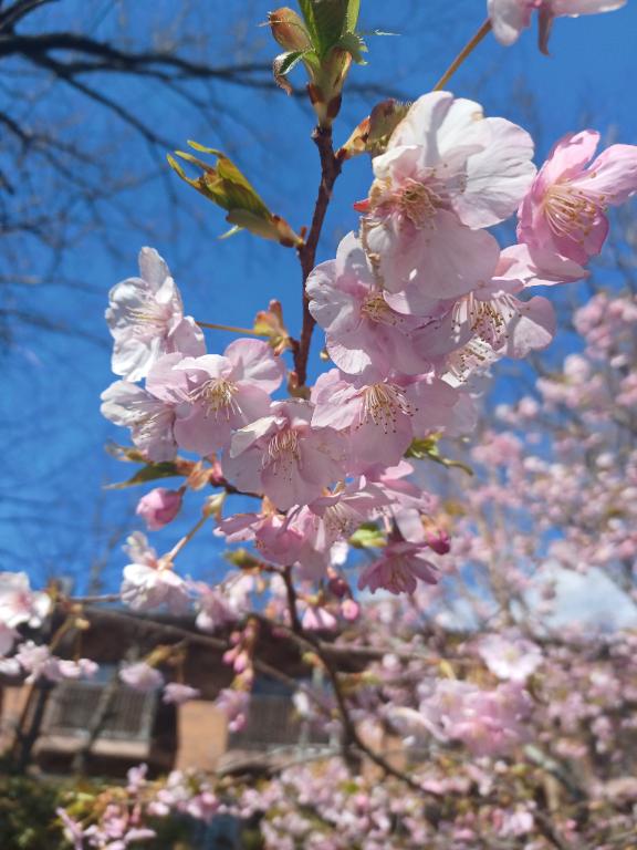 おはようございます☺️✨✨