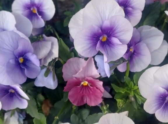 おはようございます☺️✨✨