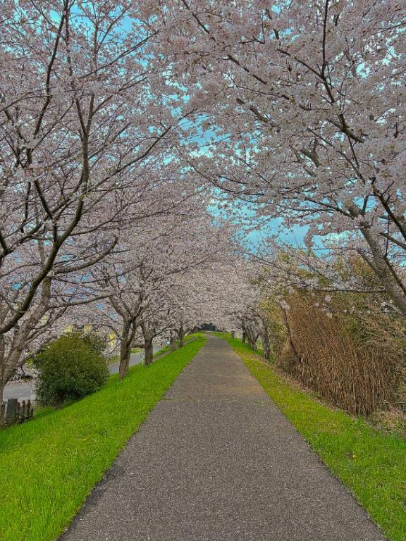 今のうちに👀🍿*゜