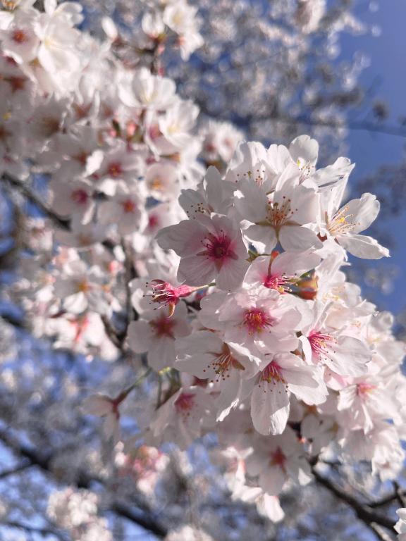 遅くなりました-