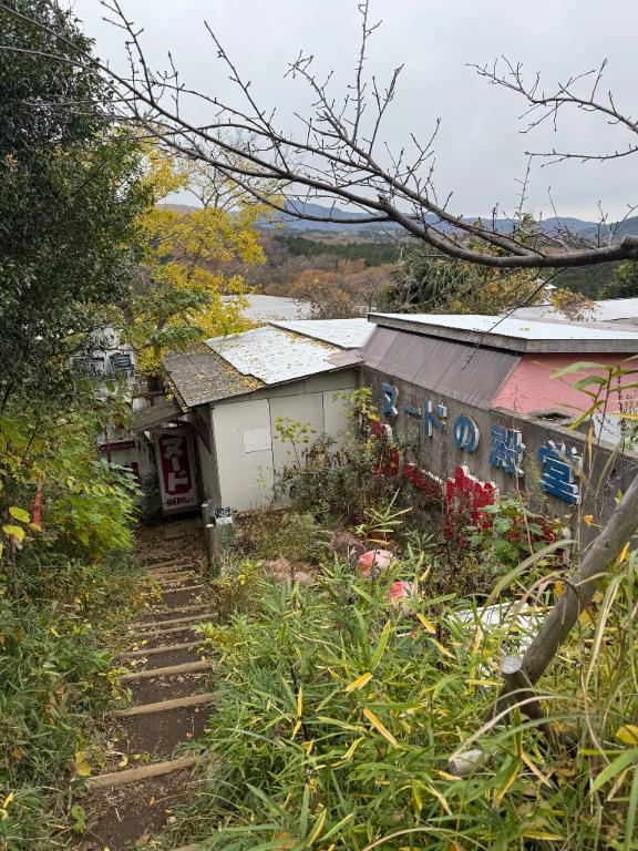 ꙳★*゚.*・゚ .゚・*.🎄.*・゚ .゚・*.꙳★*゚