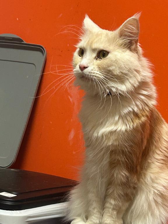 推し活後の正解ルート
