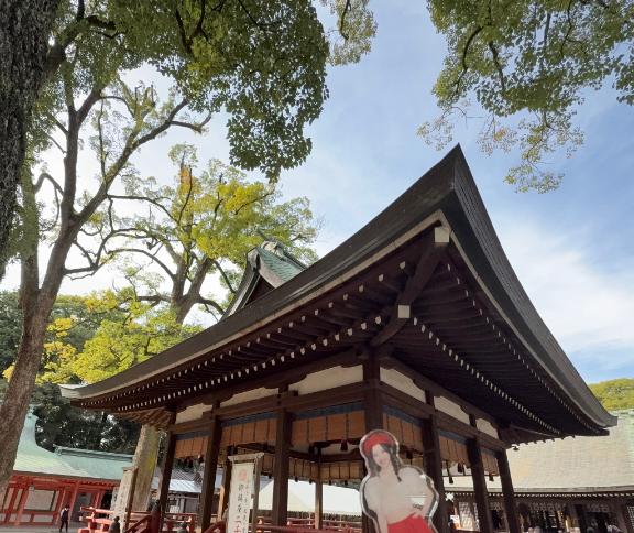 🦢2日間いるう🕊