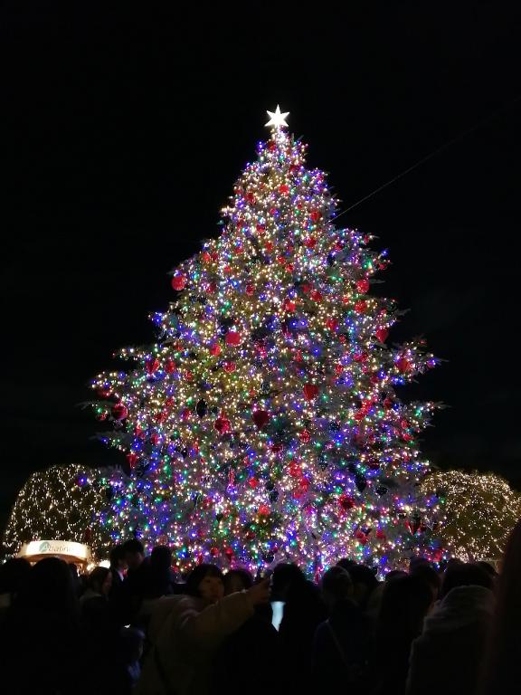 𝑴𝒆𝒓𝒓𝒚 𝑪𝒉𝒓𝒊𝒔𝒕𝒎𝒂𝒔 🎄