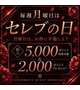 セレブの日！