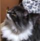ペットは飼い主に似るというけどっ【雑談】