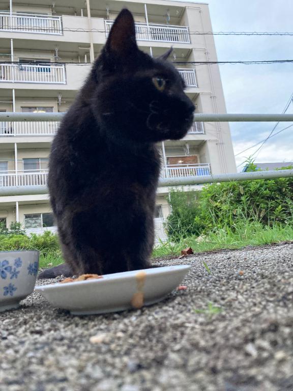 顔出さずに半年…