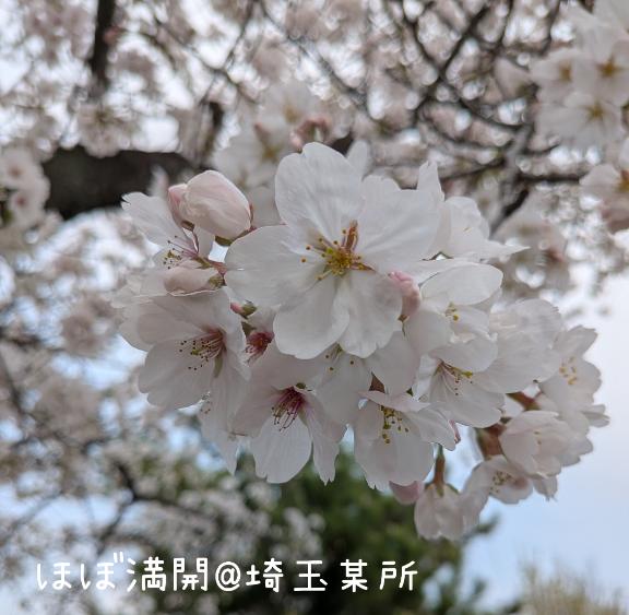 3月ありがとうございました❣️