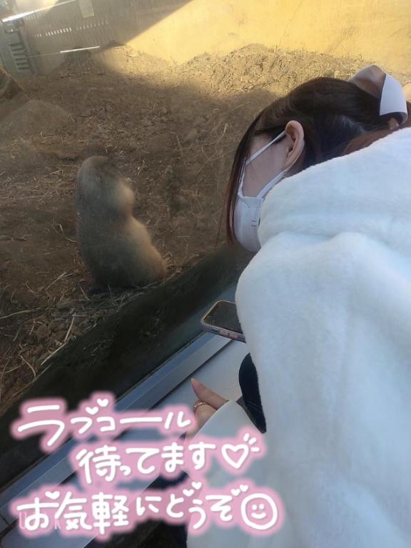 出勤したよ😊