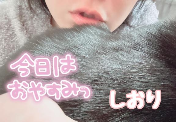 お休みになりました