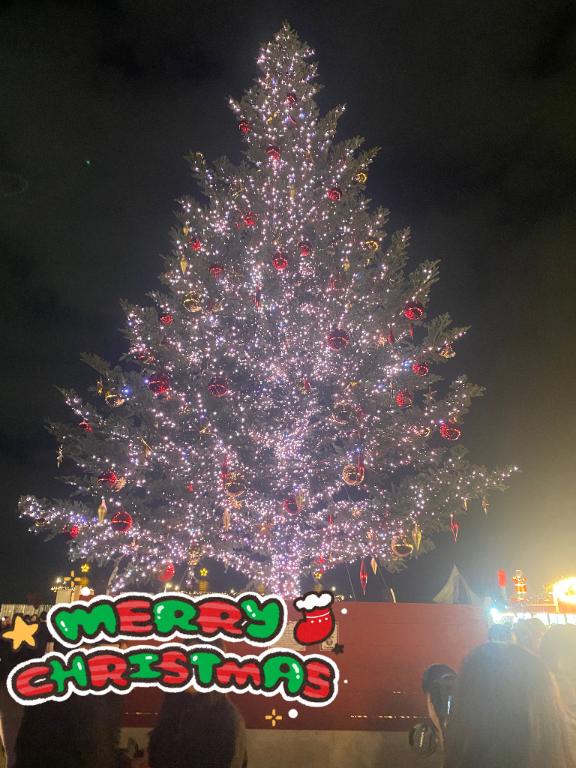 メリークリスマス🎄