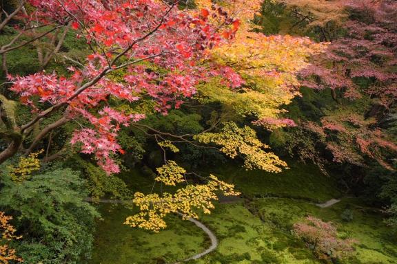 紅葉ももう終盤🍁