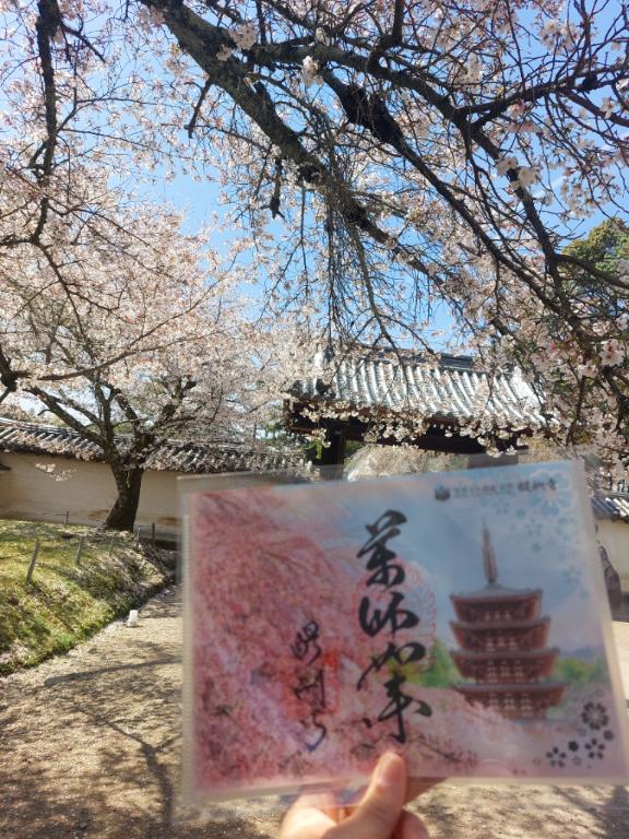 さっきの続き🌺GWのハプニング