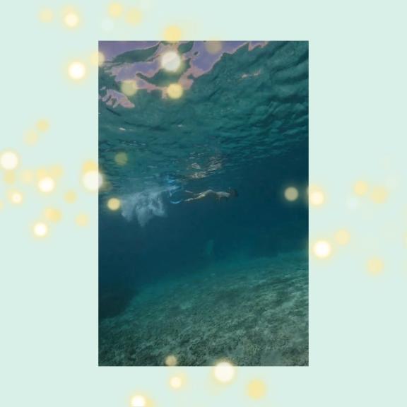 🏖️🐟👙