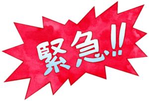 🌹緊急開催🌹