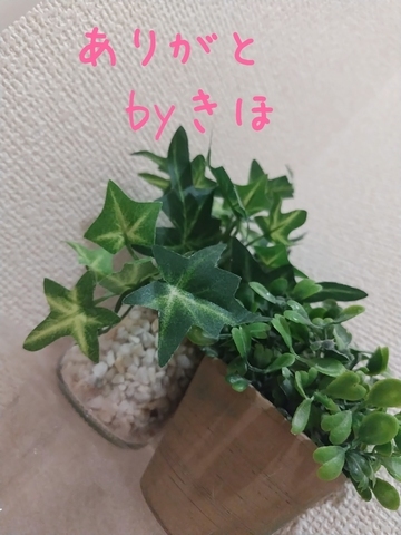お礼日記💓Ｎ様💓