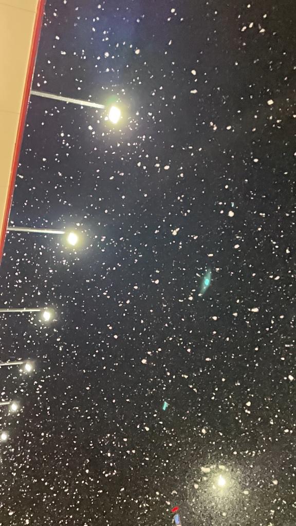 本年も、宜しくお願い致します