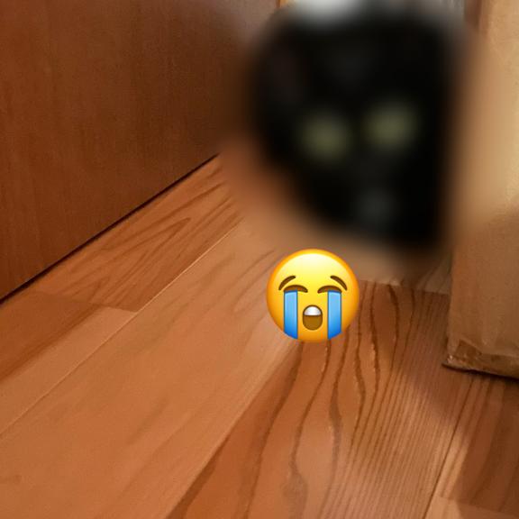 怖いよねぇぇ😭