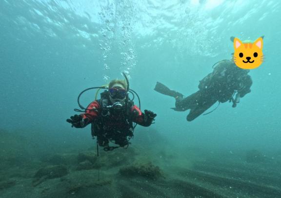 ダイバーの休日