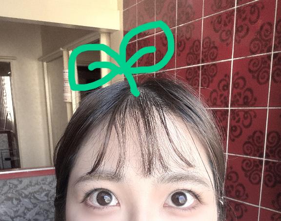 ひょこ🌱🌱🌱