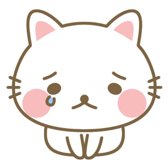 すみません🙇🏻♀️