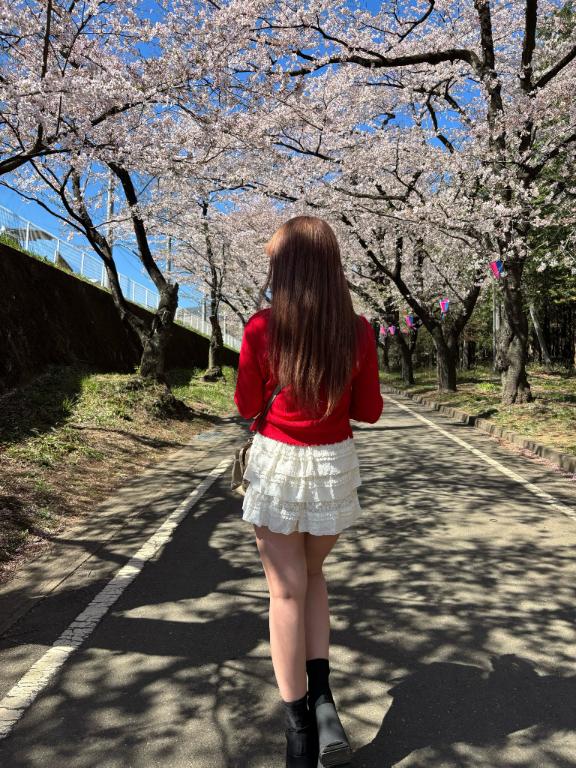 お花見第二弾🌸