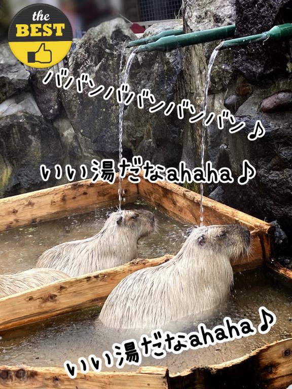 えみの元気日記(*^▽^*)/♪
