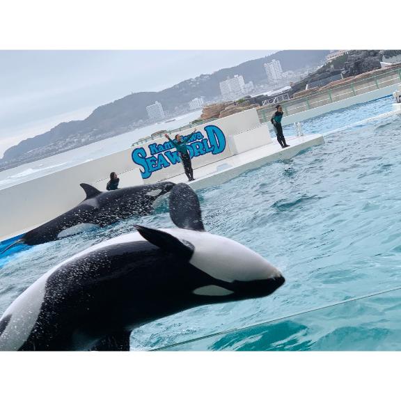 写メ日記サムネイル