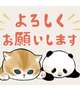 お久しぶりです🐱