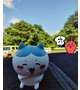 てんやわんや、夏