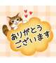 ★昨日のお礼★
