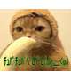 ʕ •ɷ•ʔฅ♥