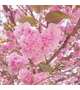 🍀3日(金) 4日(土) 5日(日) のお礼🍀