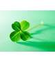 🍀こんにちは🍀