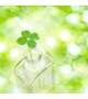 🍀秋晴れー🍀