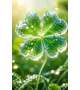 大大大吉日だょ🍀⋆゜