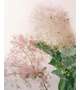 こんにちわ(｡-_-｡)