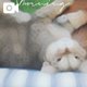 もに⋯