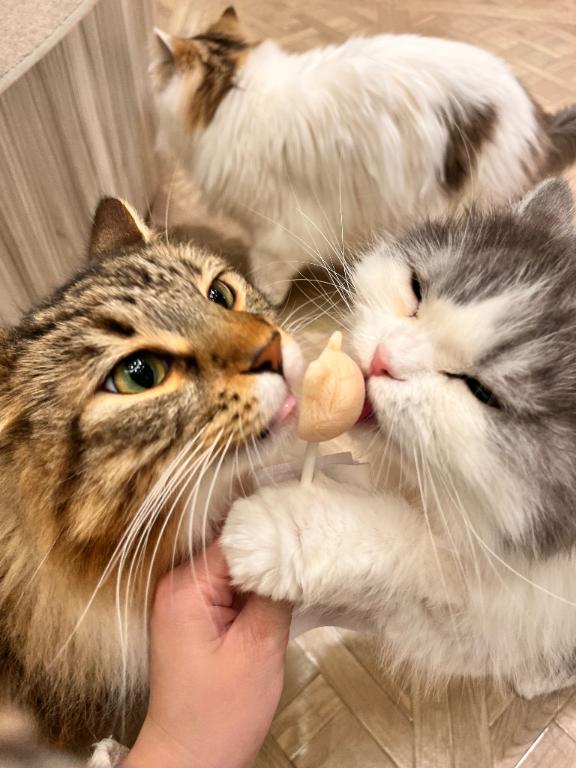 写メ日記サムネイル