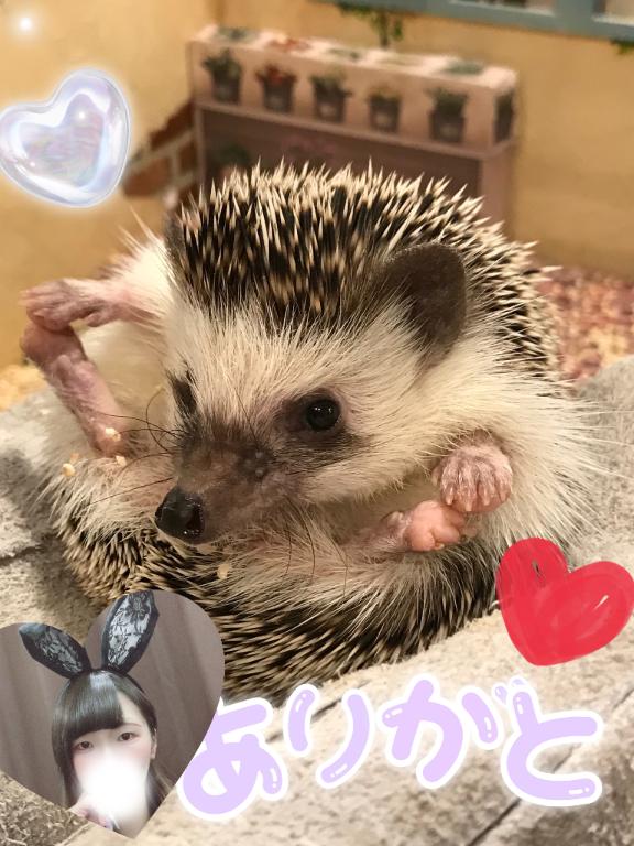 写メ日記サムネイル