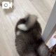 おすわりを覚えた！