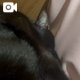 素直に生きてく〜☺️