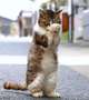 ごめんなさいです💛