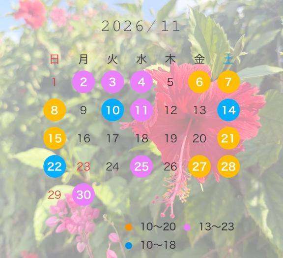 11月の予定𓂃◌𓈒𓐍