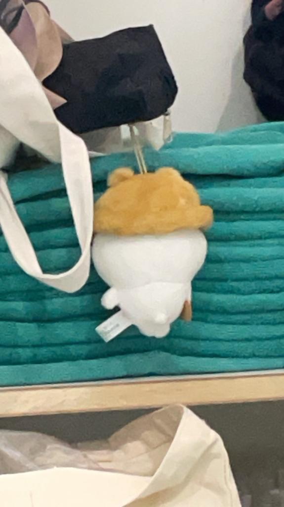 ごめんなさい🙇🏻♀️