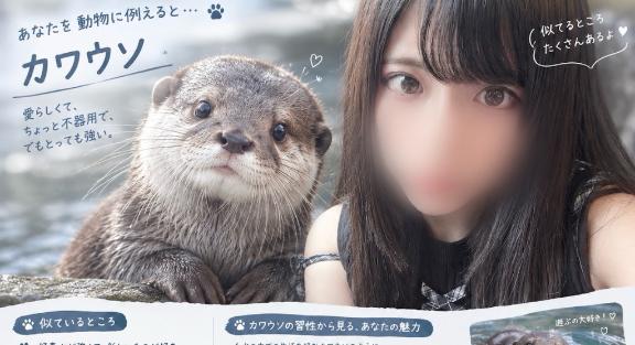 流行りのやつ🐶