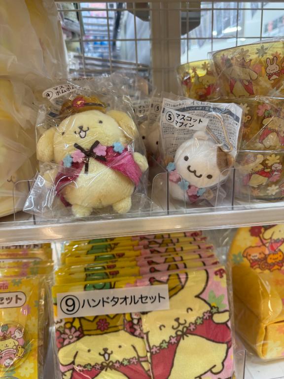 ごめんなさい🙇