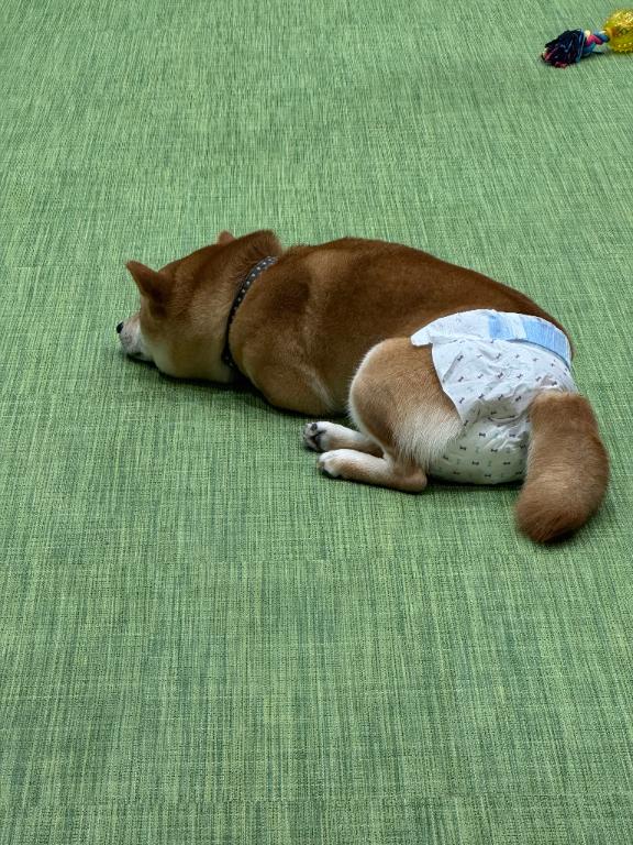 うわーん😂😂😂