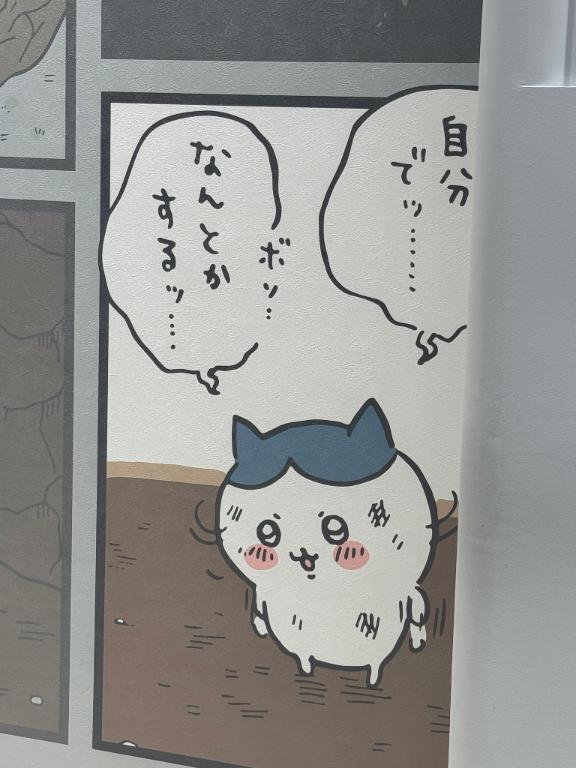 ごめんなさい🙇